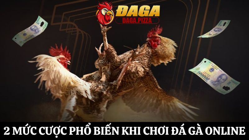 Cập nhật tỷ lệ cược trong đá gà online chi tiết cho tân thủ tỷ lệ cược trong đá gà hấp dẫn