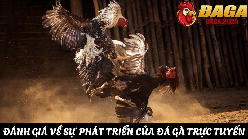 Khám phá sự phát triển của đá gà trực tuyến năm 2025 Đánh giá sự phát triển của đá gà trực tuyến