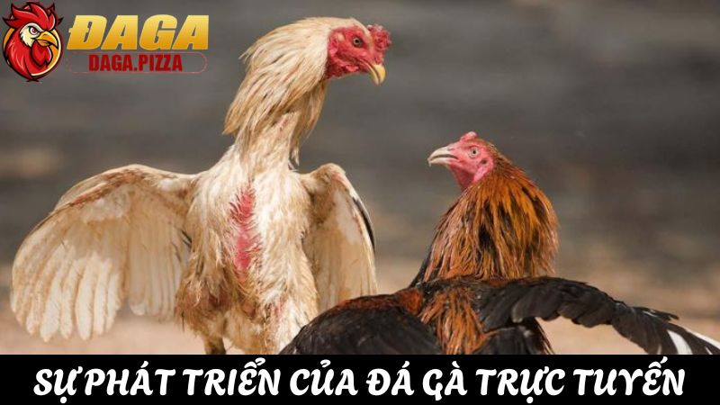 Khám phá sự phát triển của đá gà trực tuyến năm 2025 ự phát triển của đá gà trực tuyến